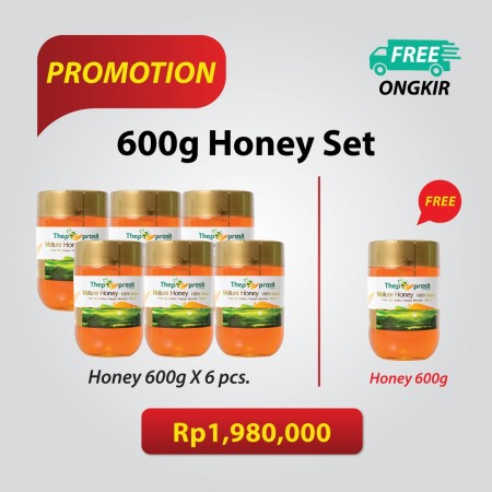 Honey 600g Set Free 600g x 1