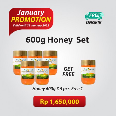 Honey 600g Set